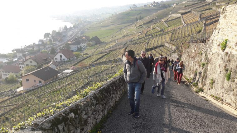 Bal(l)ade musicale dans les vignes